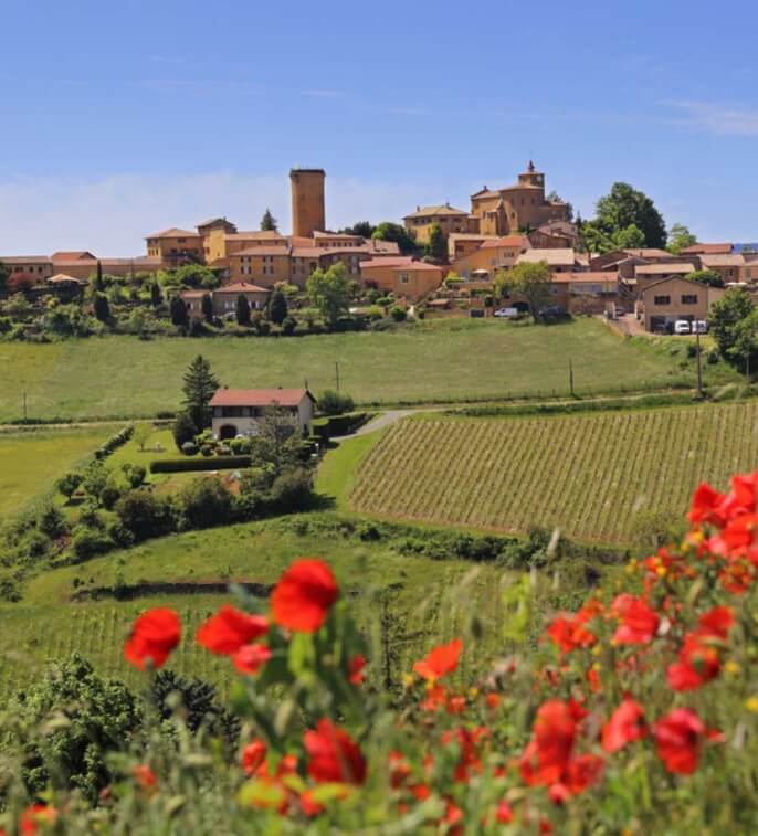 Découvrez le Beaujolais